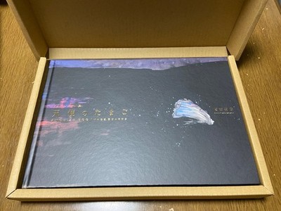 Yoshitaka Amano Angel's Egg Tenshi no Tamago Image Board Collection Art Book