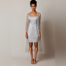 Dessy Creations by Vivian Dessy Diamond Light Silver Sheath Dress & Sheer Duster