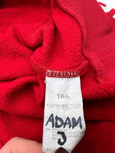 LEVI'S STRAUSS & CO Red Pullover Hoodie Jumper Kid's Boy's Size 16 y.o - Picture 5 of 10