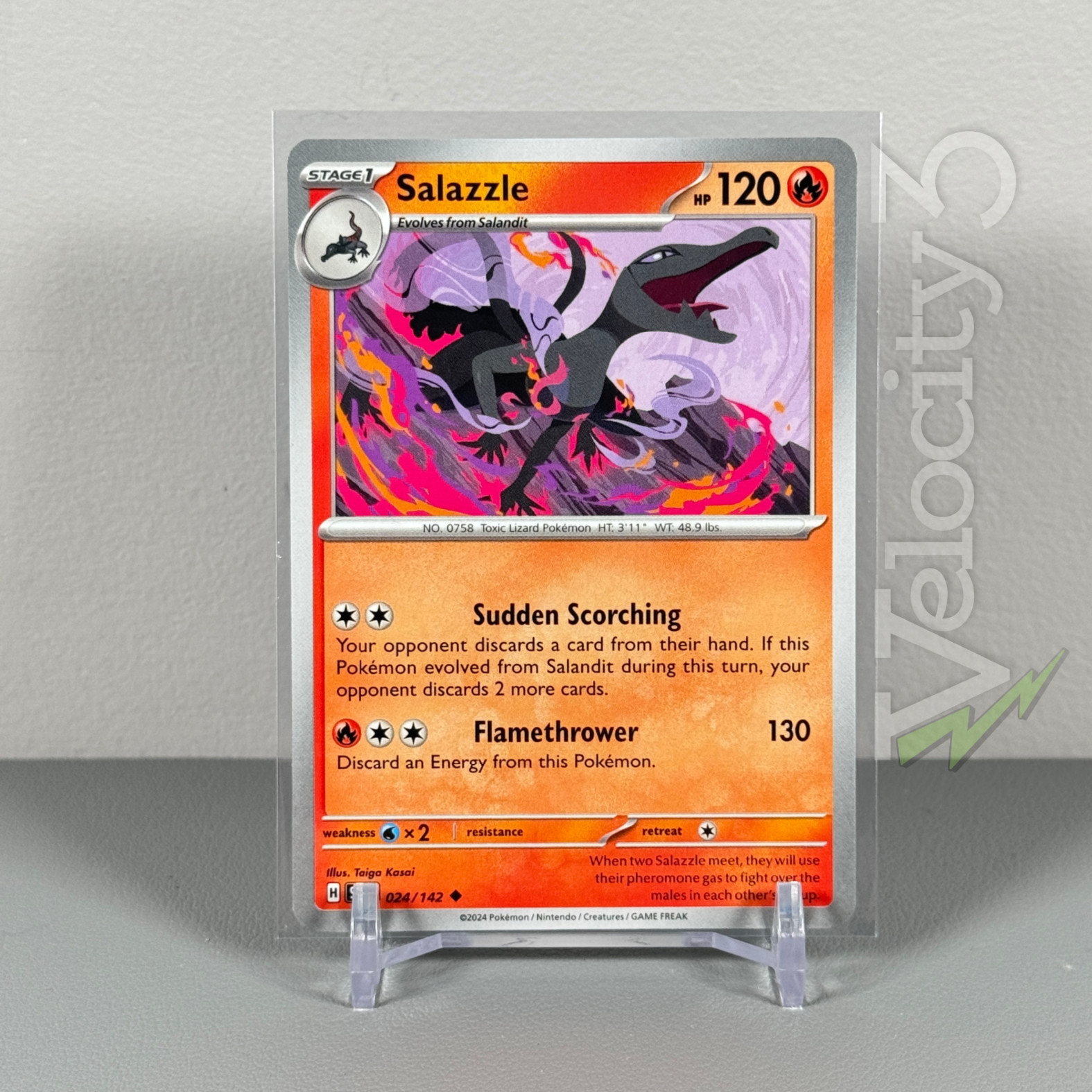 Pokemon TCG Card: SALAZZLE 24/142 | Uncommon | Stellar Crown | NM/Mint