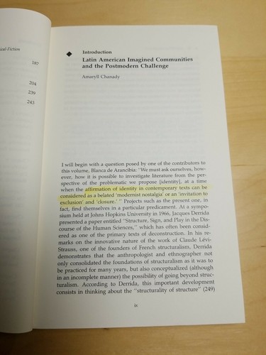 Latin American Identity and Constructions of Difference Amaryll Chanady - Imagen 9 de 11
