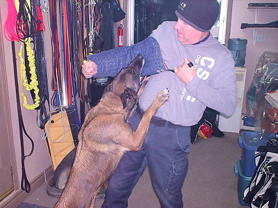 EURO DOG TRAINING ECONO SET POLICE K9 SCHUTZHUND BITE SUIT FABRIC