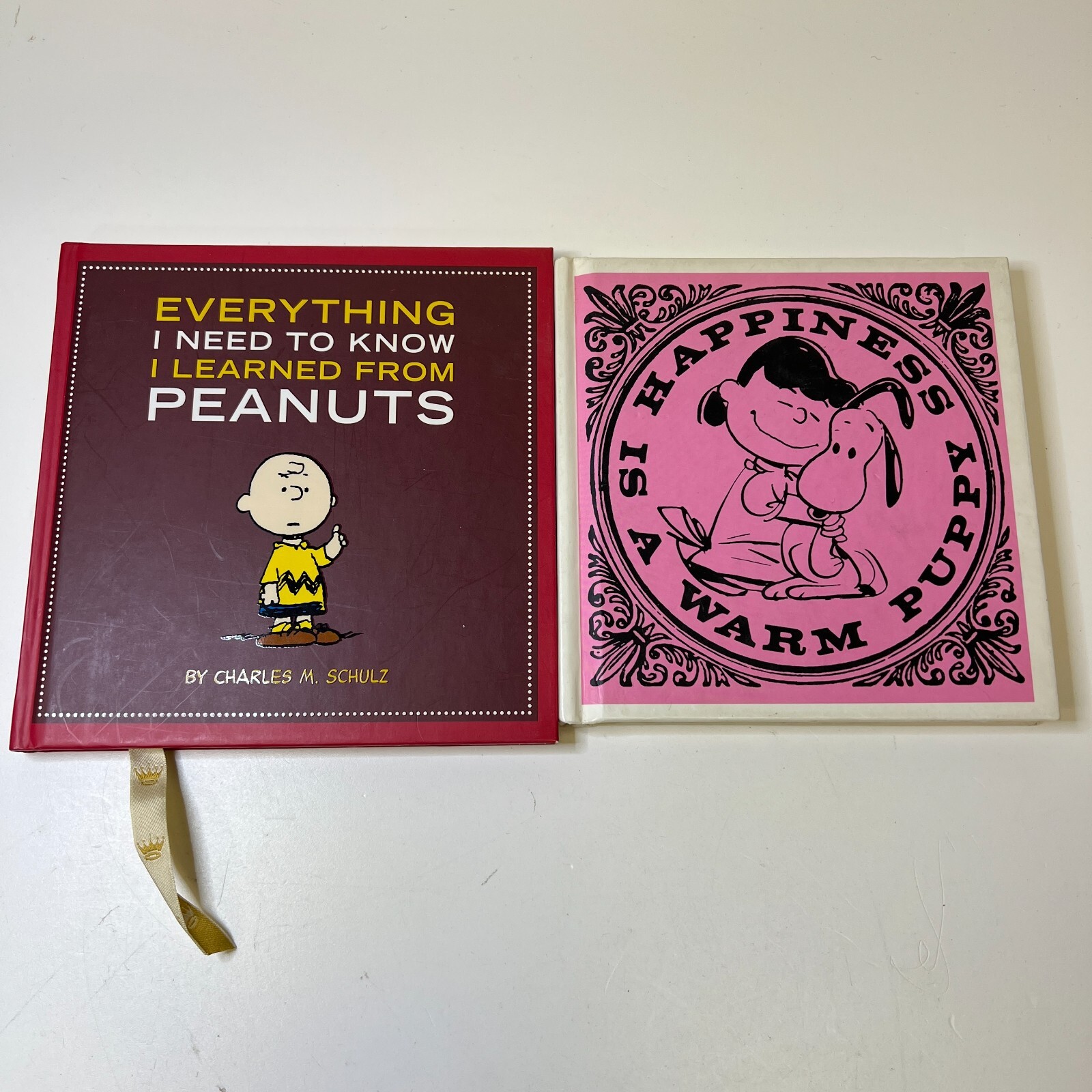 Happiness is a Warm Puppy and Life Lessons from Peanuts