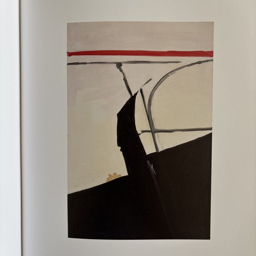 KOEN VAN DEN BROEK : “Insomnia And The Greenhouse” by A M Homes & David Anfam HC - Picture 10 of 19