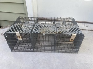 Metal Sparrow Bird Trap - Cage Trap Bird Live