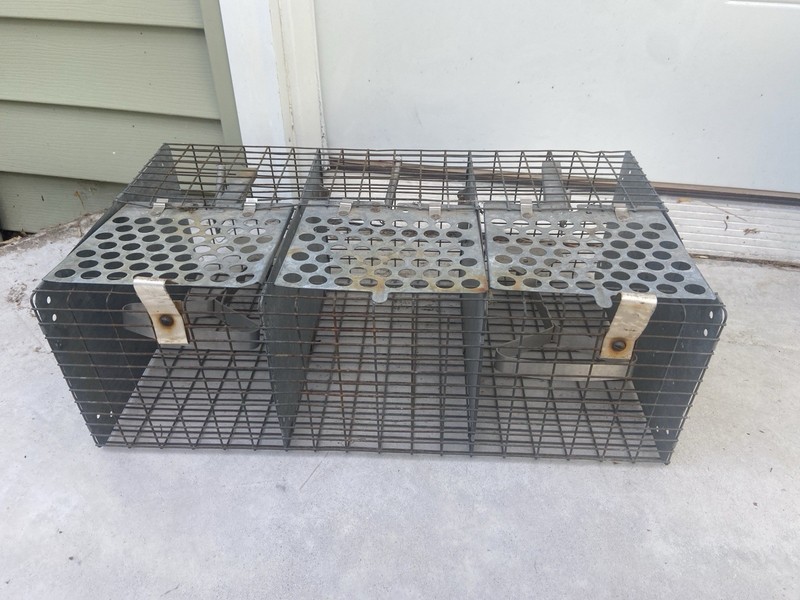 Metal Sparrow Bird Trap - Cage Trap Bird Live
