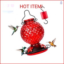 Tegarbed 25 OZ Glass Hummingbird Feeder for Outdoors Hanging, Humming Bird Necta