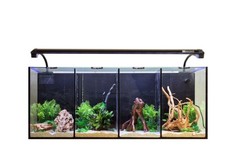 Aqua One Betta Quad Glass Aquarium 60L Three Fish Tanks in One! Filter LED Light