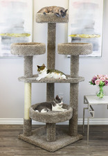 PRESTIGE CAT TREE MAINE COON CAT TOWER-65" TALL- FREE SHIPPING IN THE U.S.
