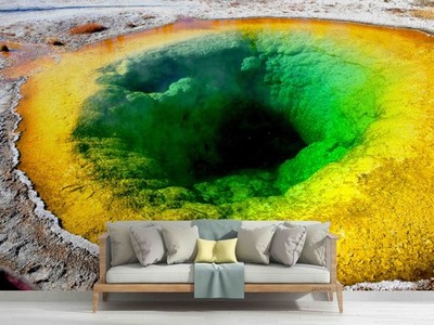 3D USA Yellowstone National Park Wallpaper Wall Murals Removable Wallpaper