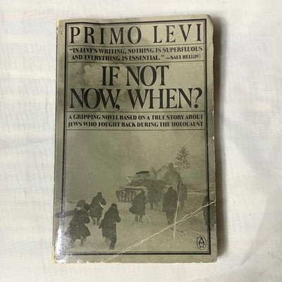 If Not Now, When? by Primo Levi