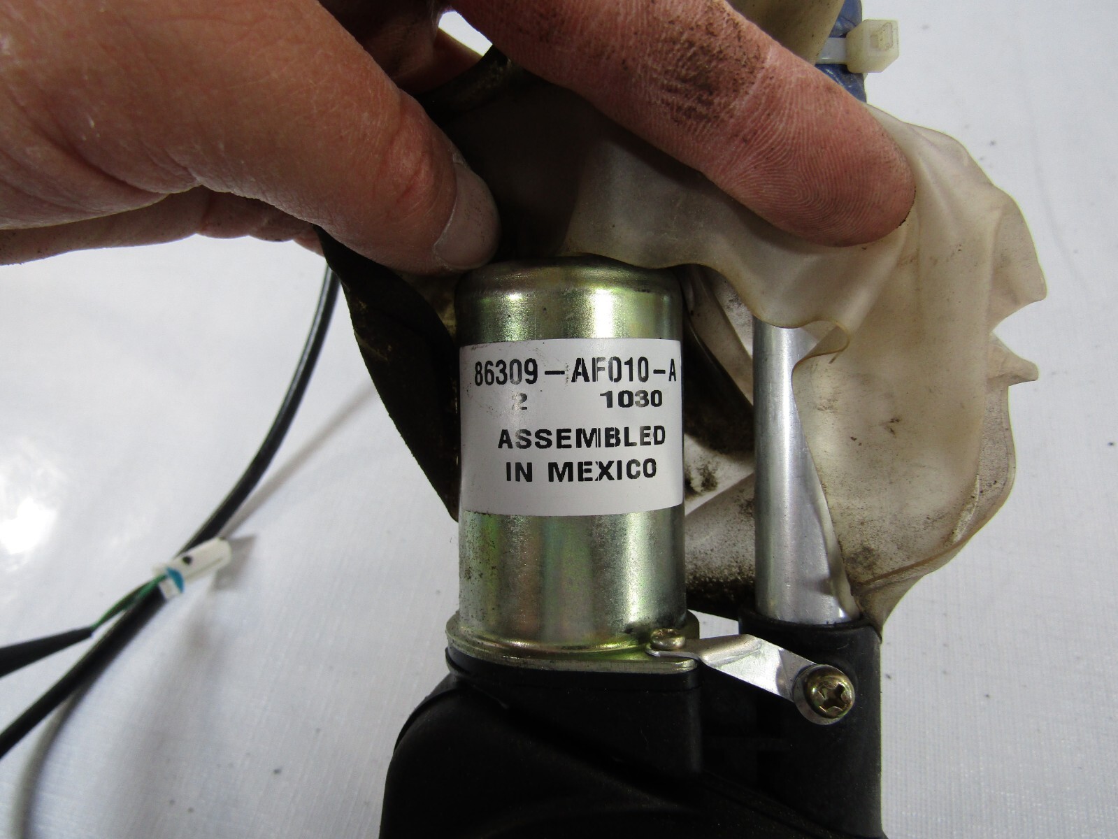 20012005 Toyota Sequoia Electric Power Radio Antenna Assembly OEM