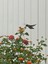 godgurl1024