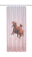 Kinderzimmer Gardine Pferd Fohlen 135x245cm Vorhang verdeckte Schlaufen Schal