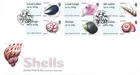 2017 Jersey Post and Go Seashells First Day Cover