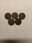 lot of 5 indian head pennies