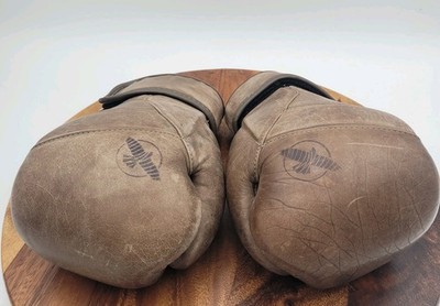 Hayabusa T3 LX 12 oz Boxing Gloves Brown Leather Training Sparring 