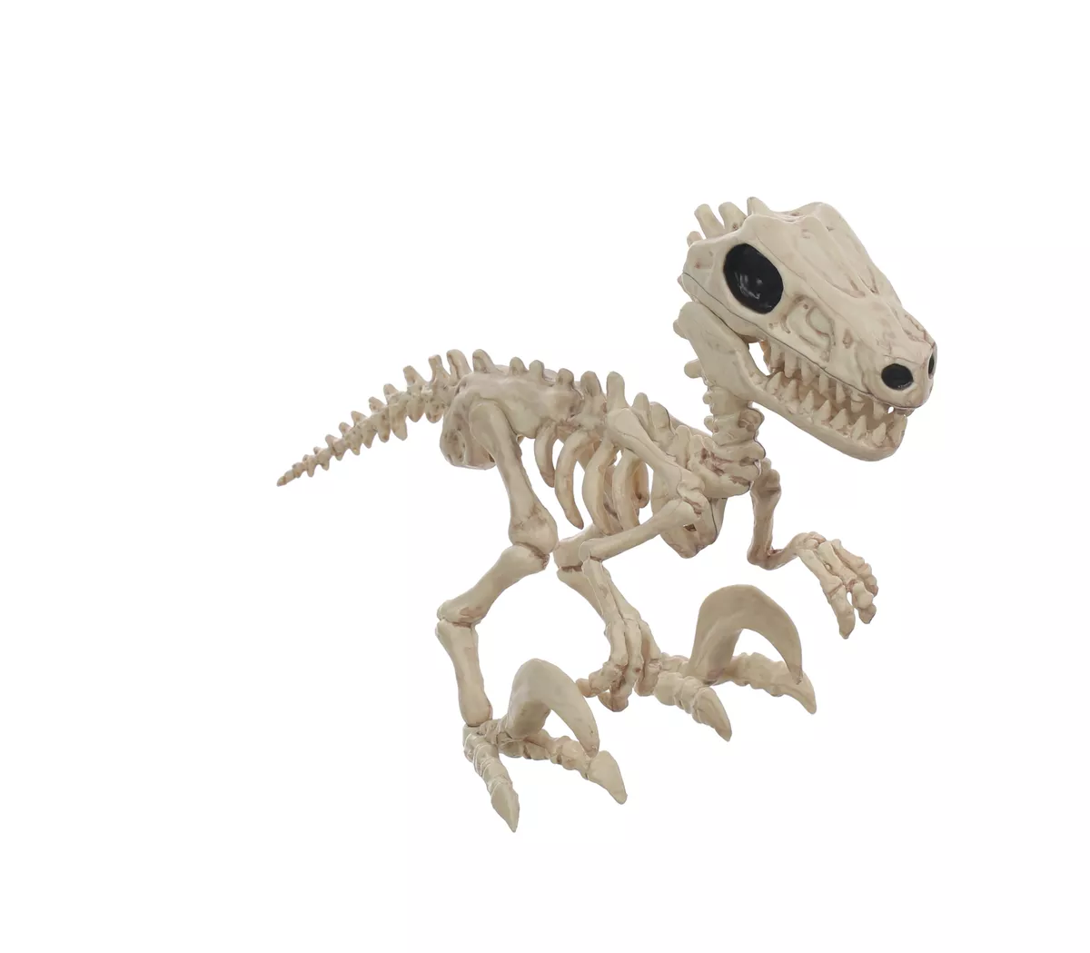 Crazy Bonez Raptor Dinosaur Skeleton 6" Ornament Halloween ...