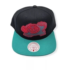 Mitchell & Ness NBA HWC Vancouver Grizzlies Team Reflective Snapback - OSFA
