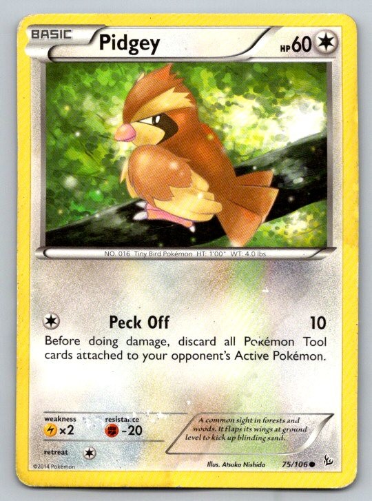 Pidgey XY - Flashfire 75/106 DMG