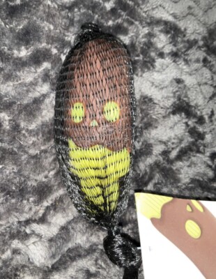 New Super Chewer Bark Box “ Brawnana Dipped Stick ” Dog Toy