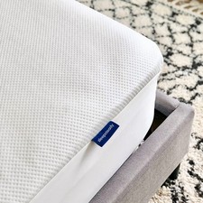 Queen Size Luxury Tencel Mattress Protector, 100 Waterproof, Ultra Soft, Nat...