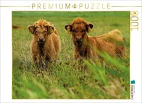 Calvendo Puzzle Nachwuchs Bei Den Rindern | 1000 Teile Lege-GrößE 64 × 48 Cm Fot