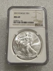 2013 SILVER EAGLE NGC MS 69 ~~ BROWN LABEL  ~~ NO SPOTS ~~ PRISTINE   (156)