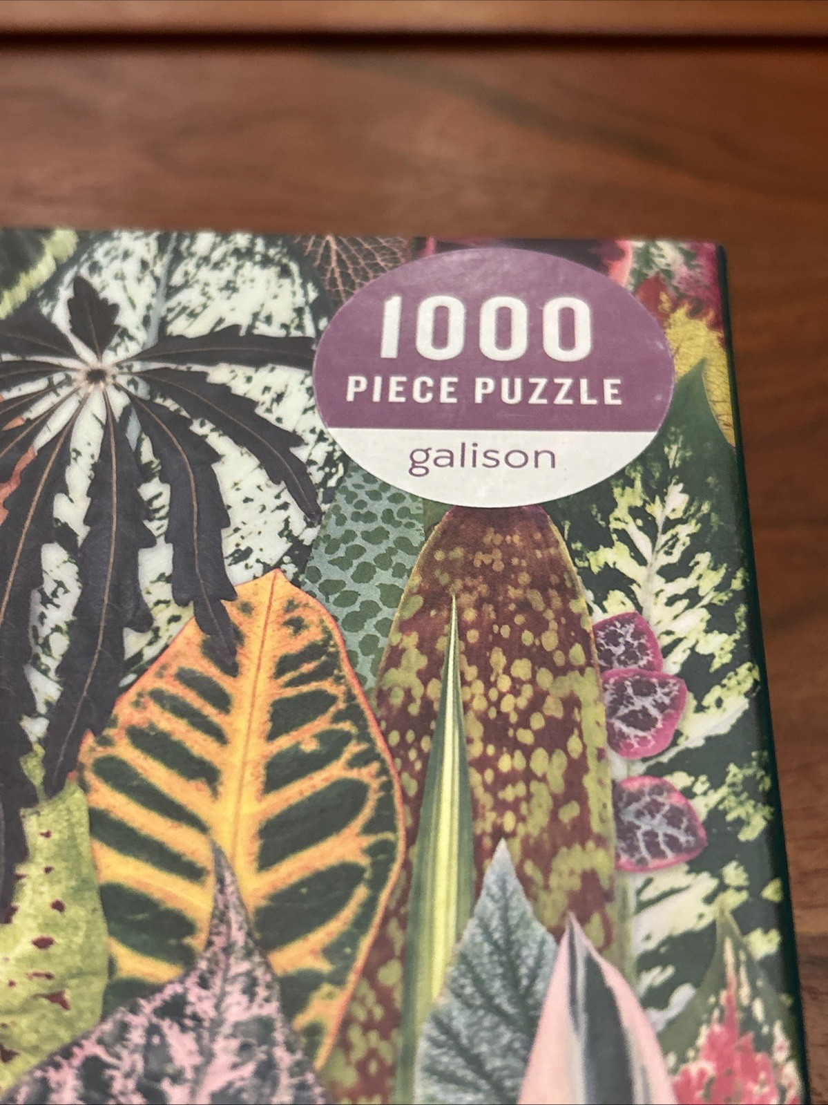 NEW Houseplant Jungle 1000 Piece Puzzle - Galison 2019