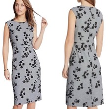 NWT Ann Taylor Floral Cap Sleeve Sheath Dress Size 2 Grey/Black Lined