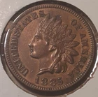 1885 Indian Head Cent 1c Philadelphia Mint US coin (35e-13377/RBV)