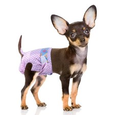 Disposable Female Dog Diapers, Puppy Diapers with Adjustable Elastic Waistlin...