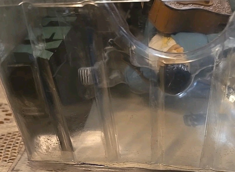 Foto 7 di 8
