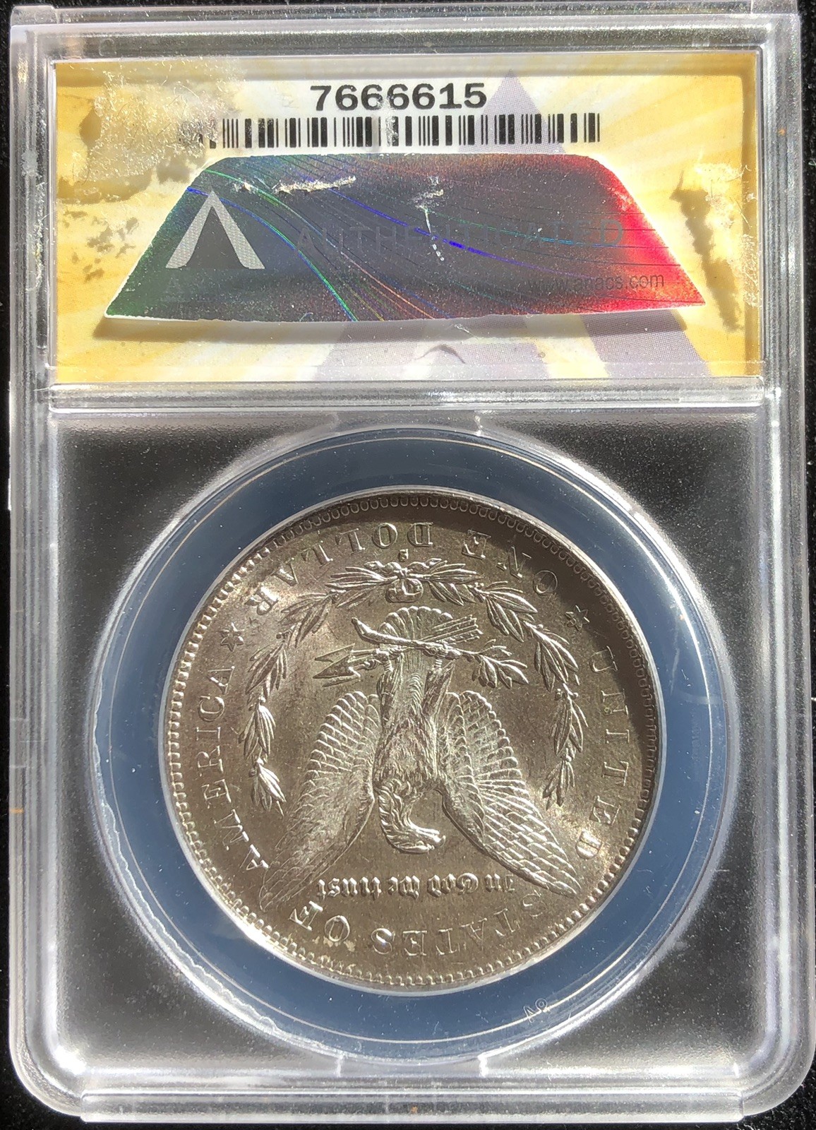 Picture 4 of 5