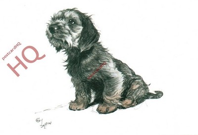Ansichtskarte ~ Hunde, von Cecil Aldon, einem Dandy Dinmont Welpen [Karizzma]