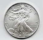 2009 SILVER AMERICAN EAGLE WALKING LIBERTY DOLLAR US COIN 1 OZ .999 PURE SILVER.