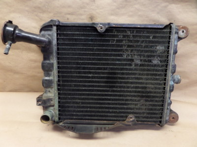 1982 HONDA GOLDWING GL1100 ASPENCADE COOLANT RADIATOR | eBay Australia