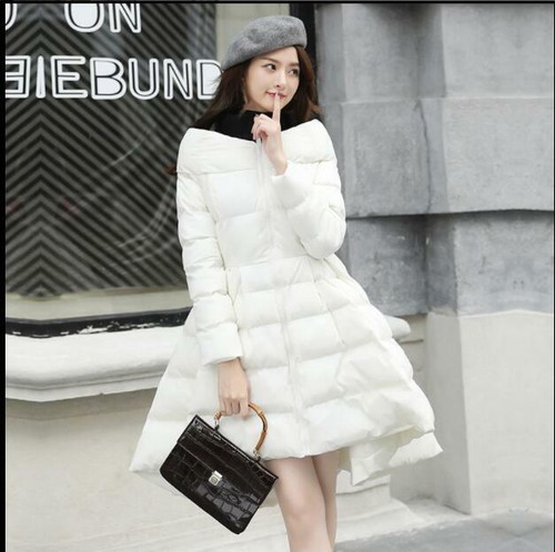 Fall Winter Women Swing Dress Long 