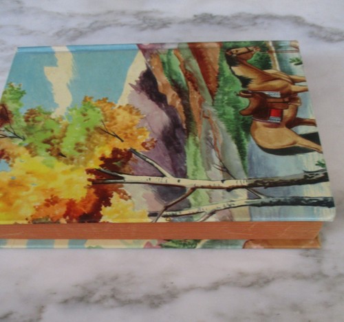 Vintage 1954 "Jinx of Payrock Canyon" Hardcover Book - Whitman 282 Pages - Picture 3 of 10