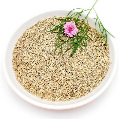 Bird-Box Grassamen Inhalt 1 kg