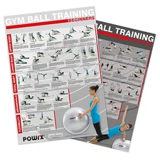  Complete Gym Ball Workout for Strength ,Tone, Core Stability, Level 1+2