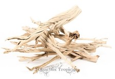 California Driftwood Ghostwood Manzanita - Terrarium Reptile - Many Sizes 