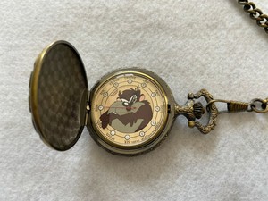 armitron pocket watch