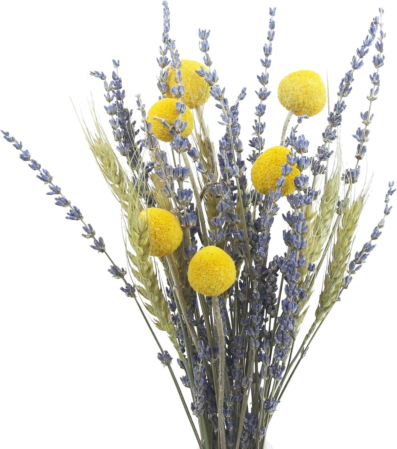 CISDUEO Dried Flowers Bouquet Dried Wheat Stalks Bundle Natural Lavender Dried F-image
