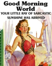 Good Morning World Little Ray of Sarcastic Sunshine 2" x 3" Fridge MAGNET humor