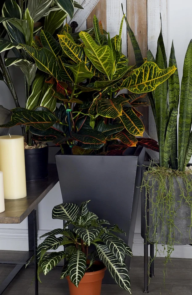 Maceta grande ligera de metal para interiores y exteriores con base cónica... Foto 3 de 4