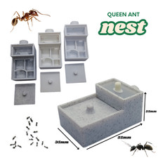 Professional Ant Formicarium | Eco-Friendly Queen Ant Nest | PETG/PLA Safe Habit