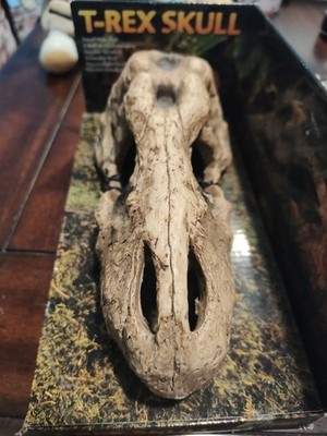 Exo Terra T-Rex Skull Terrarium Decorations, Fossil Hideout