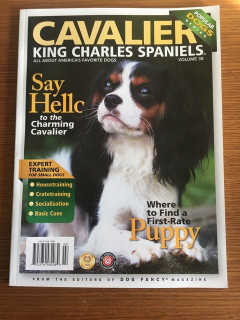 king charles spaniel training