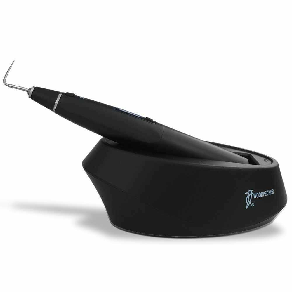 PLUMA DE OBTURACIÓN Pájaro Carpintero Sistema Fi-P Diseño Vertical para Fusión y Relleno GP